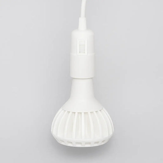 Oase Lux™