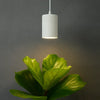 Oase Lux Pro™