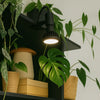 Oase Lux Cliplamp™