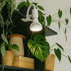 Oase Lux Cliplamp™