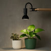 Oase Lux Cliplamp™